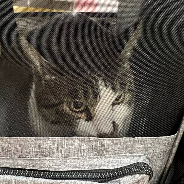 3f62d28d a711 4fb0 bb8c 4a2d17f0d518 1761962355951