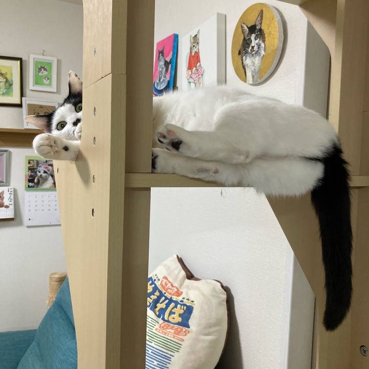 3f62dc2c a747 4cfe b197 c45ac90bc521 1770984433099