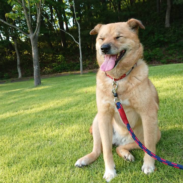 3f62f7f7 b072 47cd 9789 58372e0f0960 1633747681312