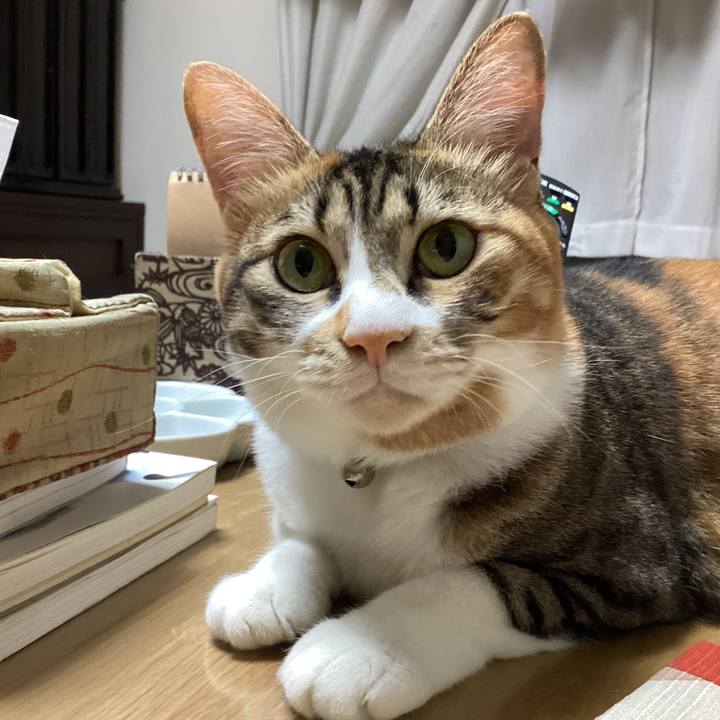 3f630055 f6fa 4443 817a 814ded95b2c1 1730958483799