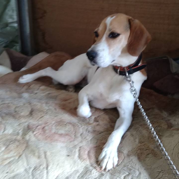 3f630852 fe10 402c b7ab d9e3889c2b4f 1657513556948