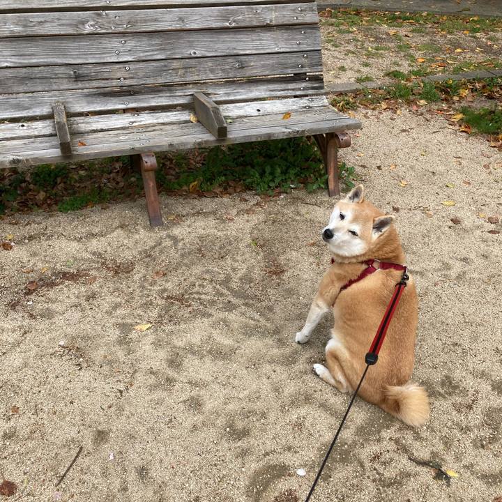 3f6382de aa81 4220 b29a 7ae5692a64ab 1617594950771