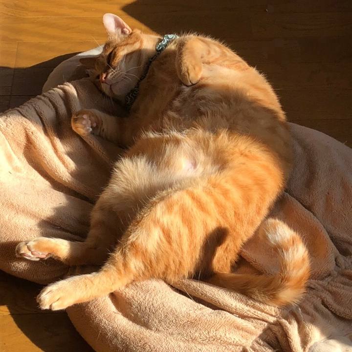 3f63e808 0c39 454c a875 a17e4ce959ff 1584834001527