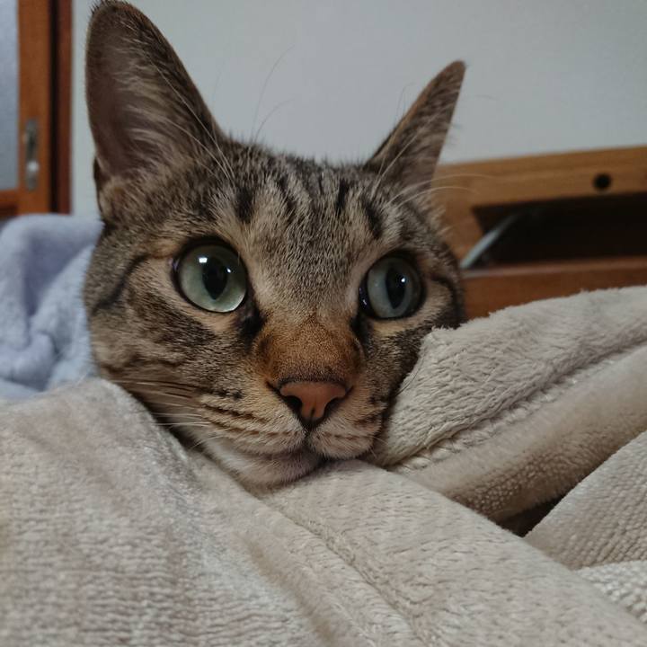 3f64470d b30b 47e3 a49e d1a08858f576 1574958958011