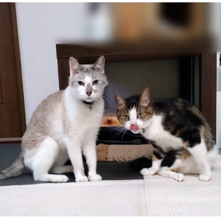 3f64637d 6e02 40f3 beae 98ab1184f926 1656145928132