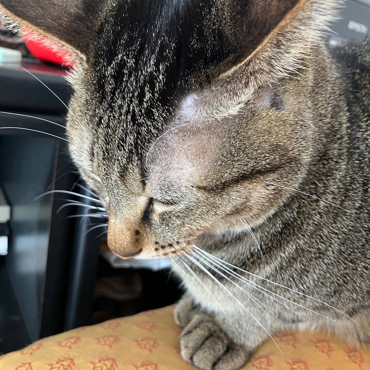 3f6479c1 5111 42ac ba40 380d53ac2e2c 1766793614054