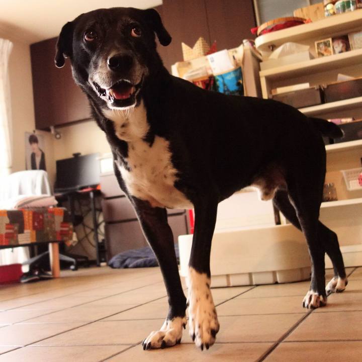 3f647b01 9c0c 4276 a275 355c941b92c7 1750982362368