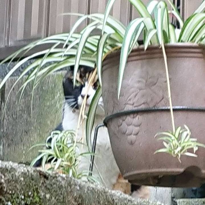 3f6481fb bc59 49b6 a1a7 fcc93cf242b8 1680564441688