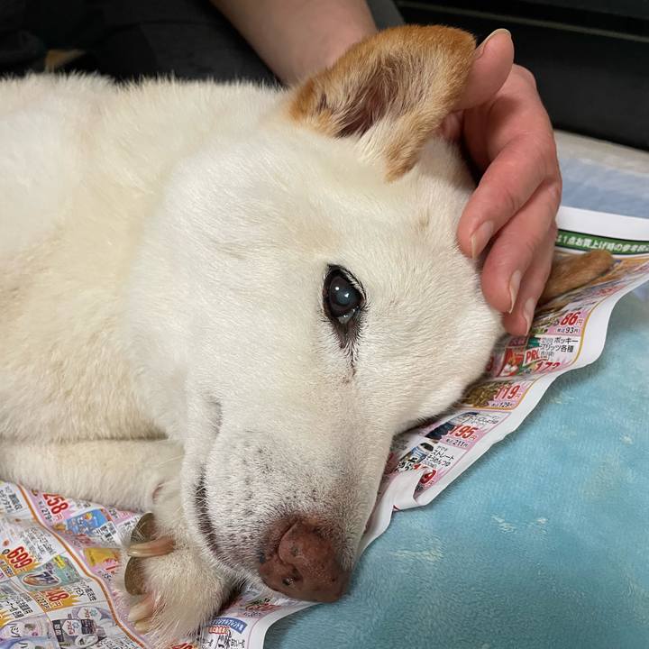 3f64b083 3b64 444d bebe 4c984ea2928a 1650005207127