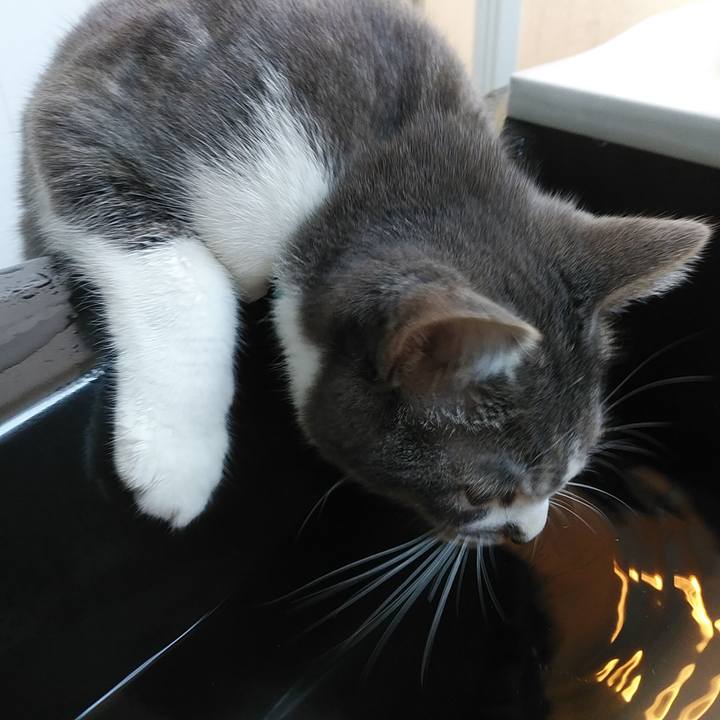 3f64e147 a013 4fe2 8434 d017c88ce28f 1579488169326