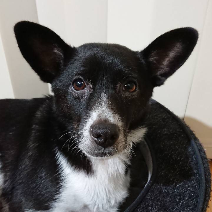 3f6530b7 ba4f 4e6f a08f d5c31c60b014 1573382798195