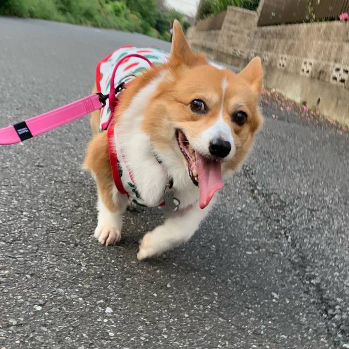 3f656748 fe65 41d3 867e b9a37998aabf 1600381607006