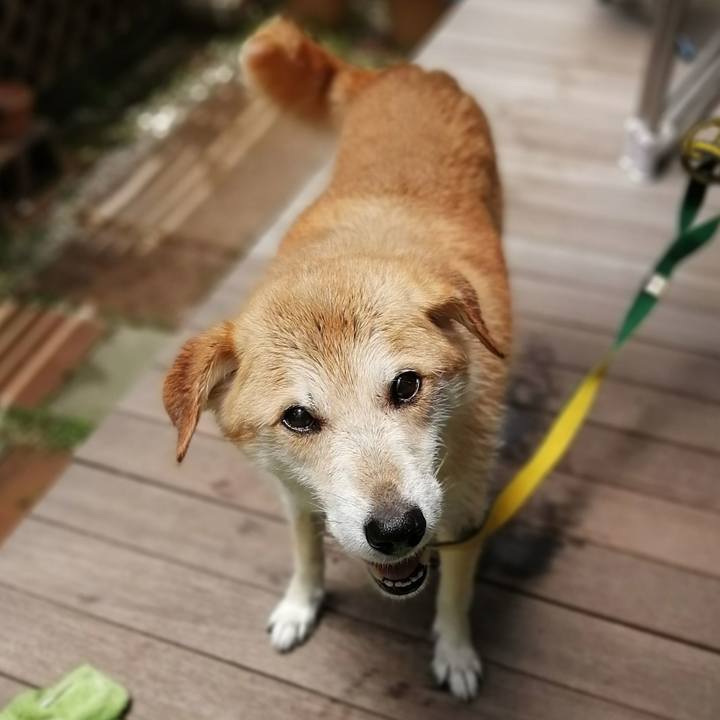 3f657bce 18ea 4961 a28c 7d98f1461a78 1593676439135