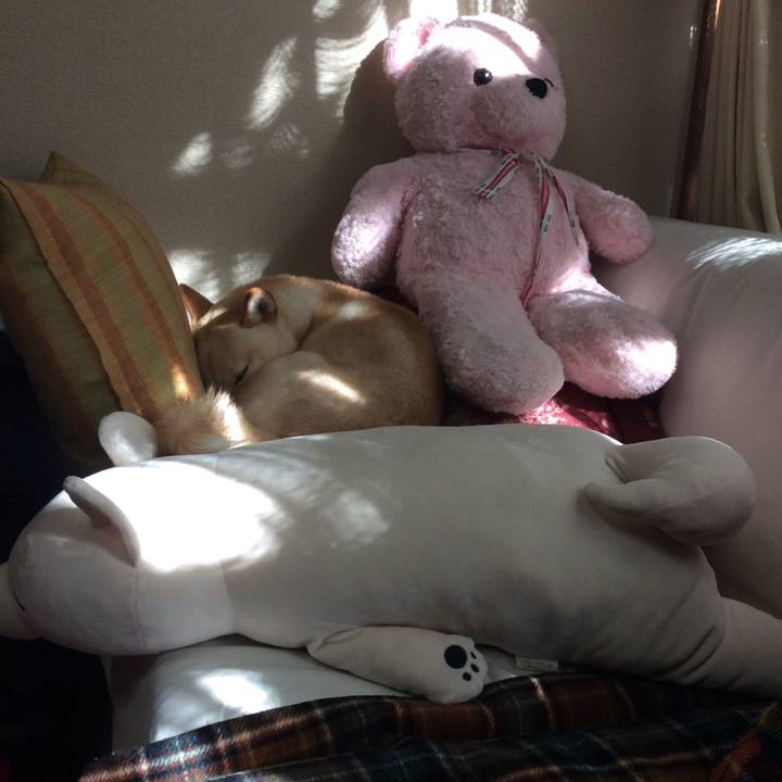 3f65b4a2 d3f8 4b52 b14b 41056d6d903d 1510198968795