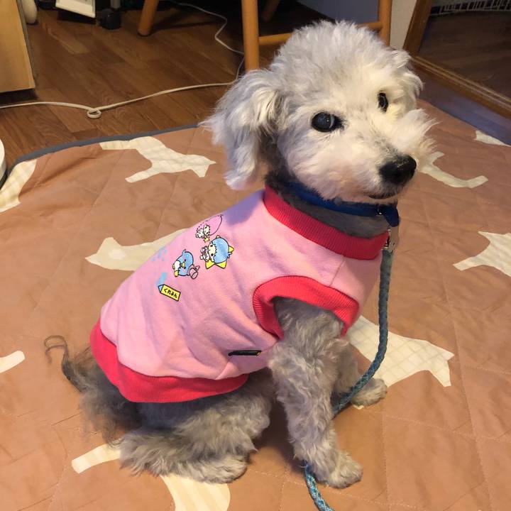 3f65b527 2701 4dd4 8675 80eca66c007f 1634604020388