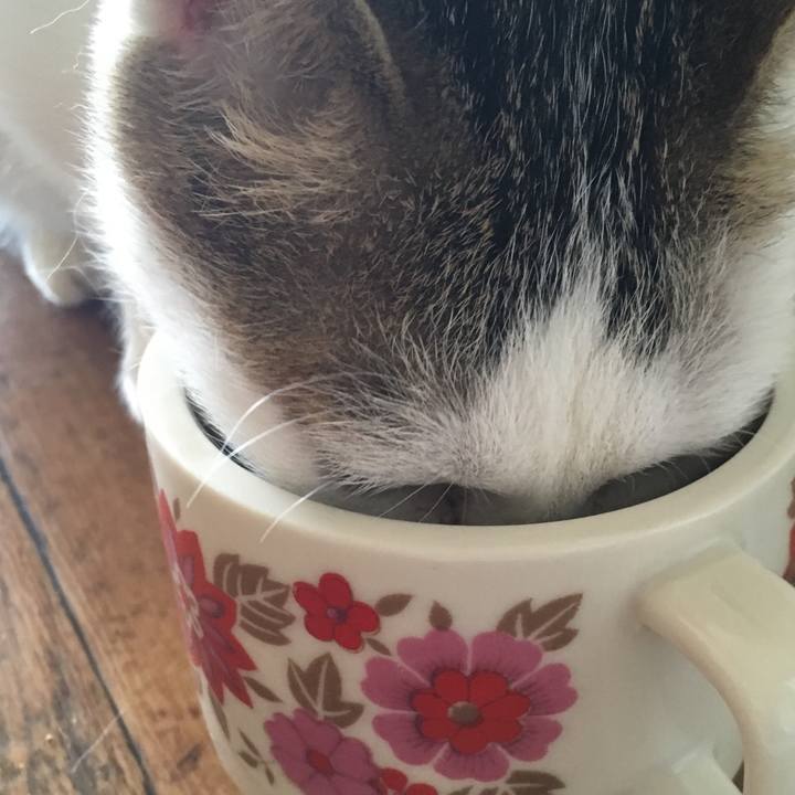 3f65b8aa 106a 44dd 83fd a229e72ed05a 1510294066819