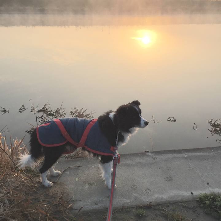 3f65d0c3 d0ff 48e0 807c 6efb5af34f75 1578094990059