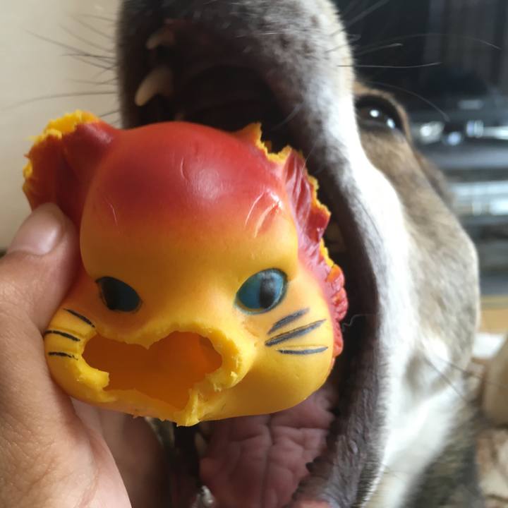 3f660e99 8548 4da3 836b de53ebdc7fd1 1511753816913