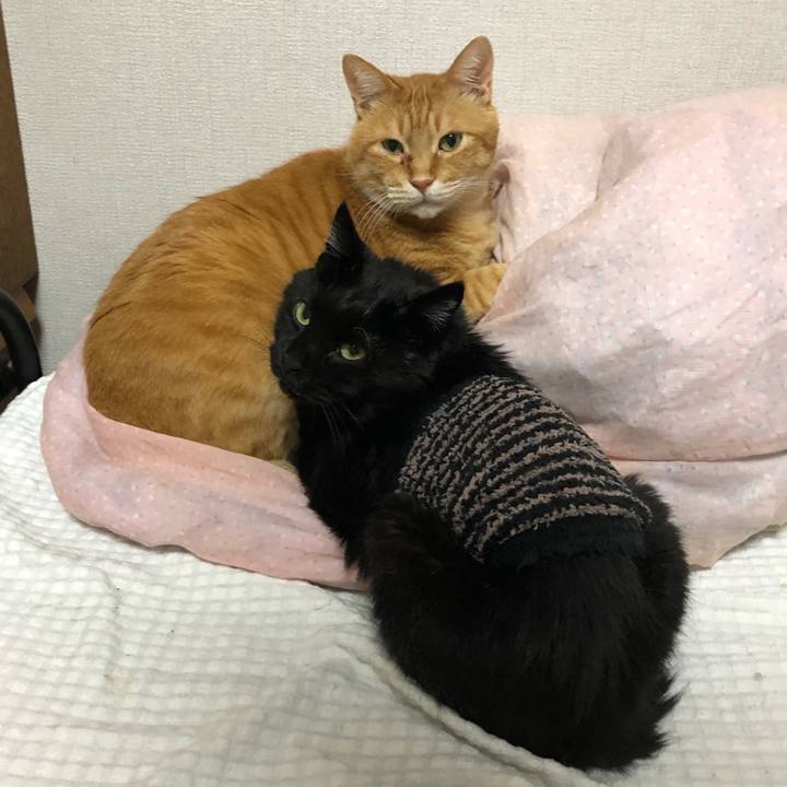 3f662f53 c6ee 465b bd9f c2c194bdcf85 1637331137998