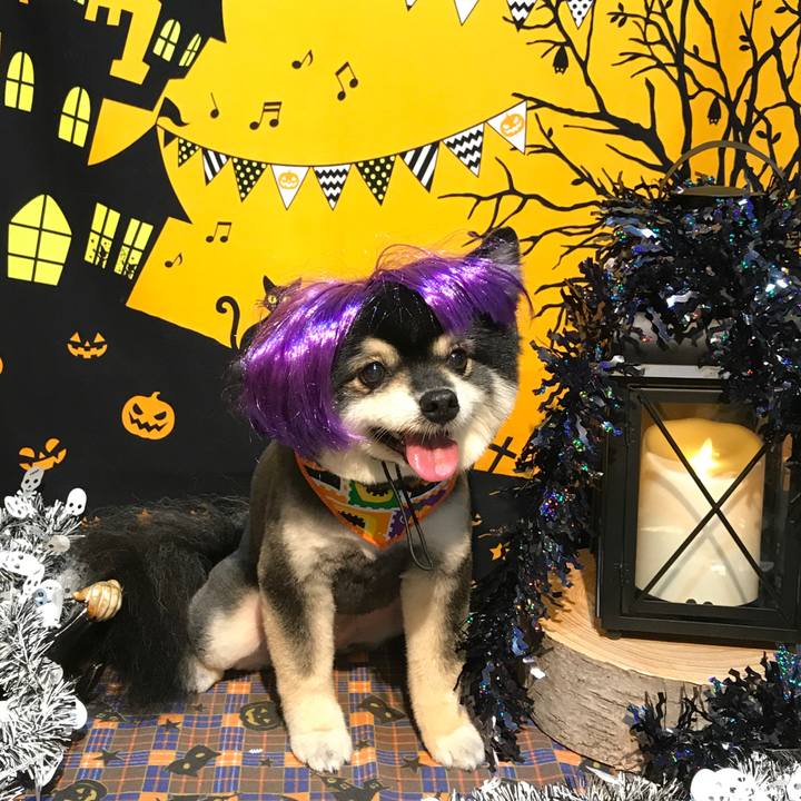 3f664917 3832 4b4f 984e ea283121c489 1540957742481