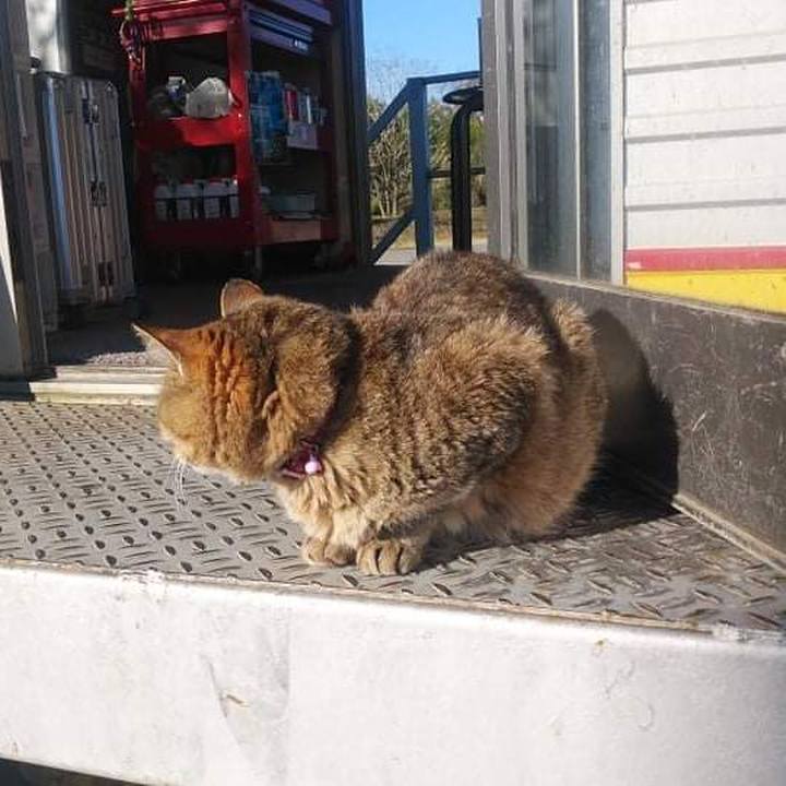 3f665b3b dc6a 4a54 8e09 3a1004db6dc2 1637902396625