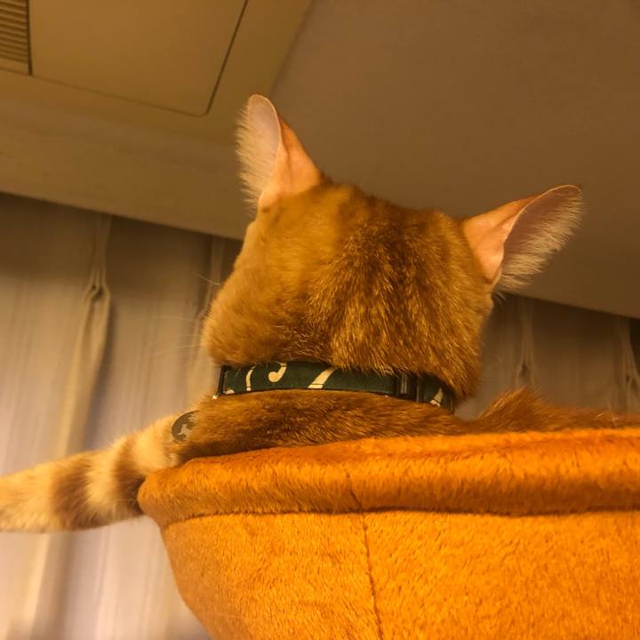 3f6666b7 6218 455f 848c ae32e2bcfe19 1639085894622