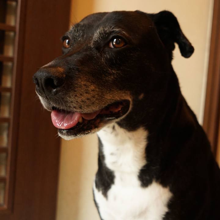 3f66864f 521d 49bc 801e 2963e431df4e 1758152831588