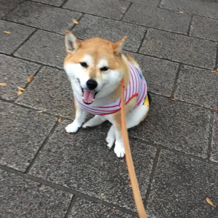 3f66cde7 0304 453b b194 e561a21f01fe 1570783182292