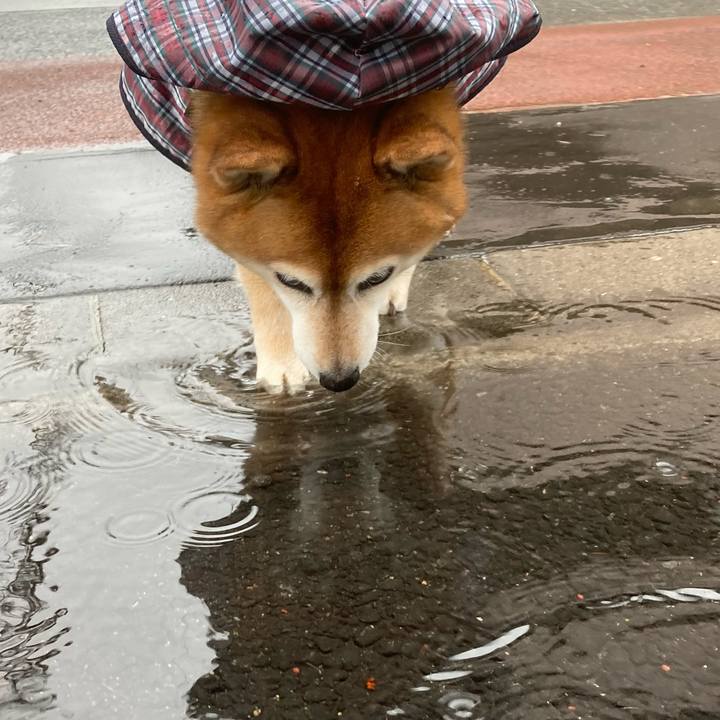 3f66e721 42ce 405e 9be1 f5c6c07bdb68 1681548804226