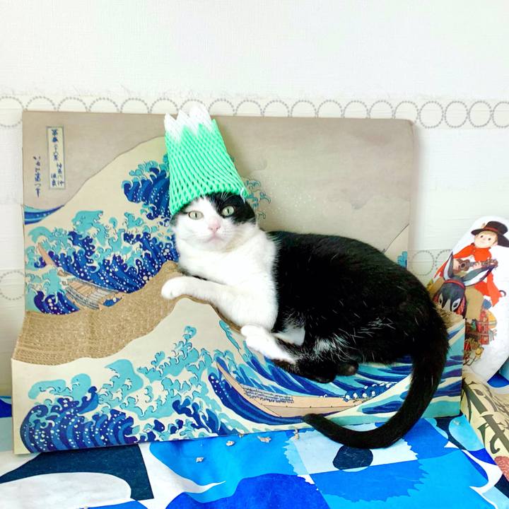 3f66eec7 b20d 4661 b1fa 891e8162e18e 1629459429404