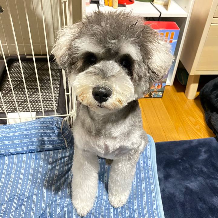 3f66f45b be29 4f37 9e47 d4a0cb075f03 1590930015612