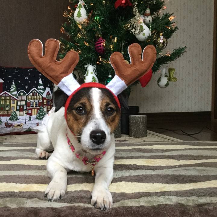 3f672446 0c0f 4ae5 b409 a732b03108a1 1514006491452