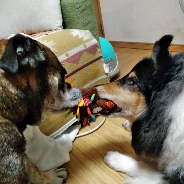 3f674ecb fba7 4e45 85e2 ab8678a22b47 1532958152788