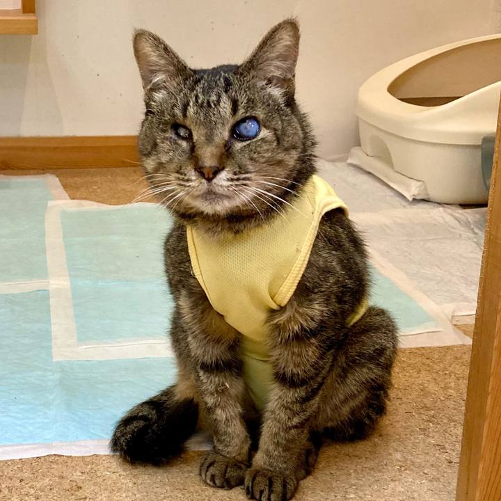 3f67615d b778 4f41 b602 b9889aab8582 1684504669628