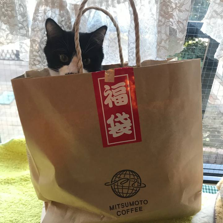 3f6769d9 3509 48fd 8f53 3052f5430e25 1650323180232