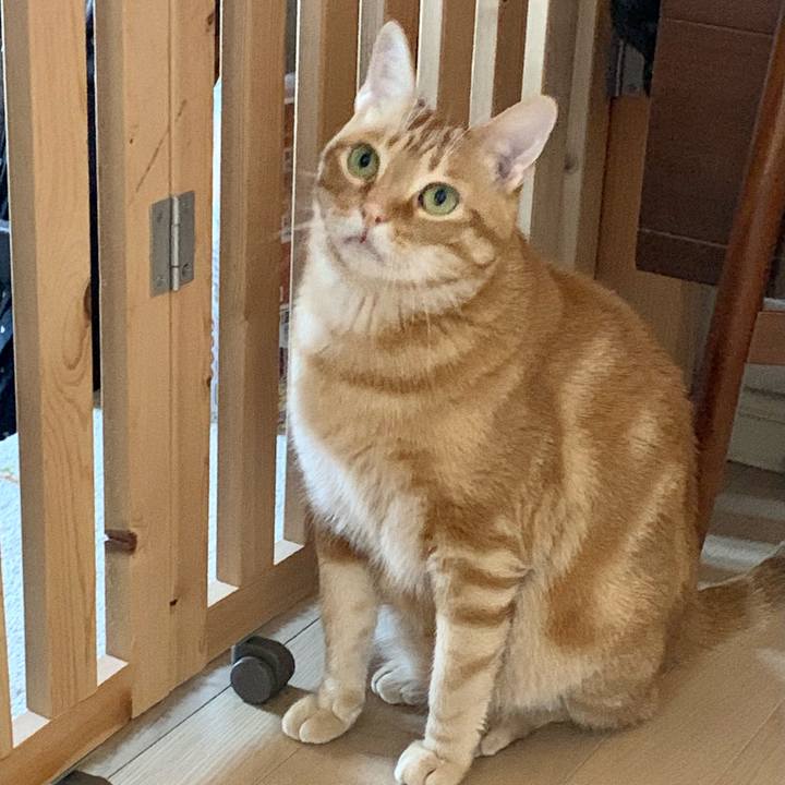 3f677150 5113 4fd7 b9ee 5c398c397464 1622157462288