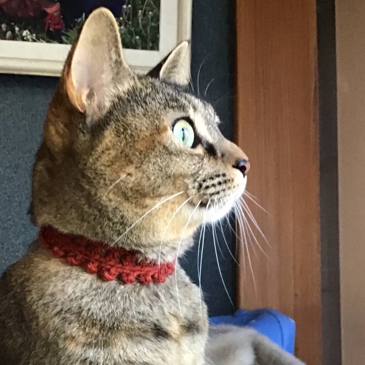 3f677313 14f2 4562 84c4 bedfff78b93c 1637646171593