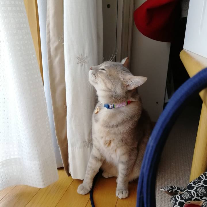 3f677f1d 755d 4c10 883e 97f6833cc2c9 1555550832642