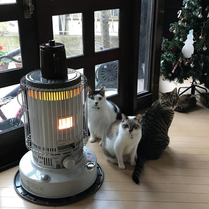 3f67960f 501e 47ae aea9 6b5df2521bbd 1513898216308