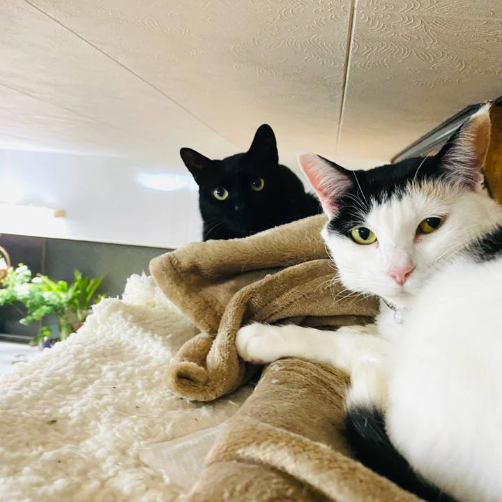 3f679900 2d27 4ab0 9af1 1d897bd0ee0d 1676553536094