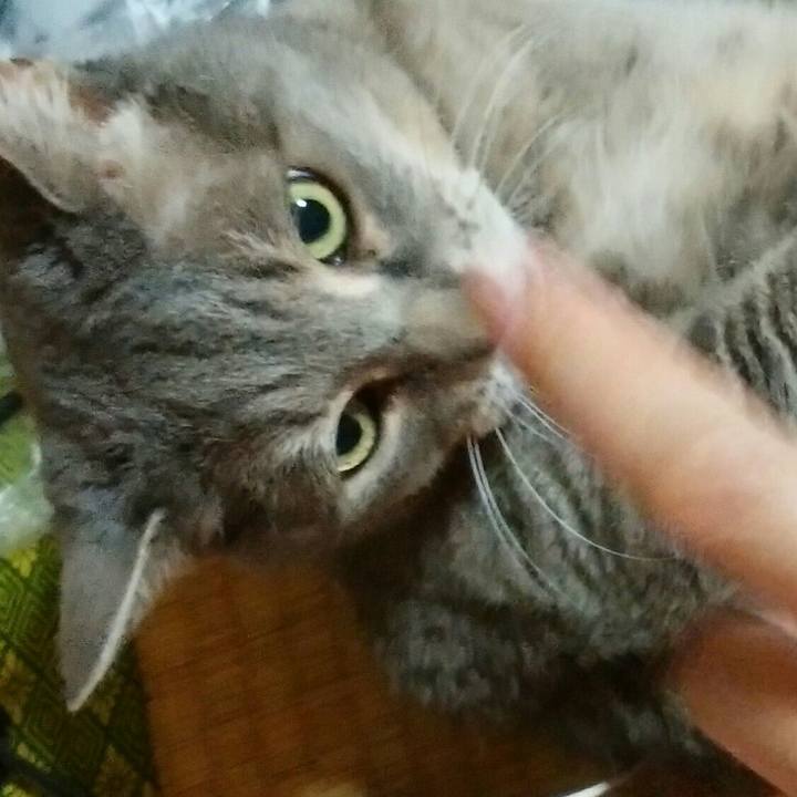 3f67a8d4 a99b 44a1 a5e8 151d85ad7935 1562334042088