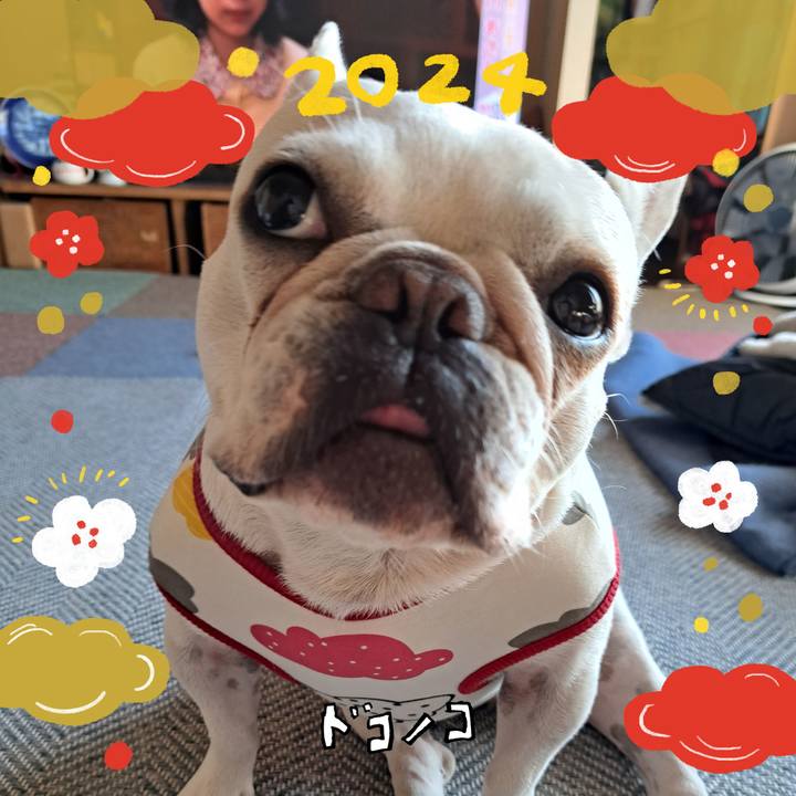 3f67ad13 96fa 40fb 8e18 37a383bc5349 1704063071608