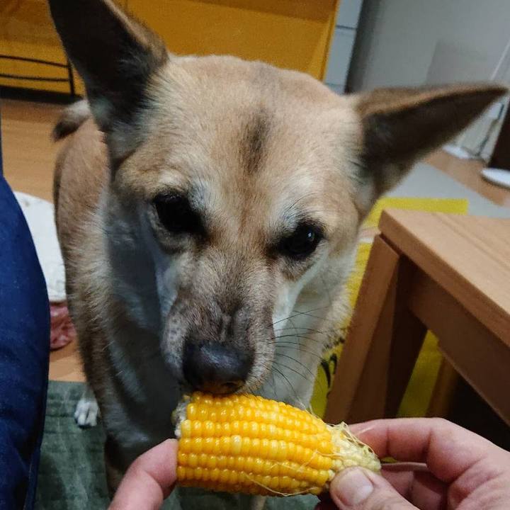 3f67c8b5 c22b 48e0 941e 45f2f6d1bd13 1535019431655