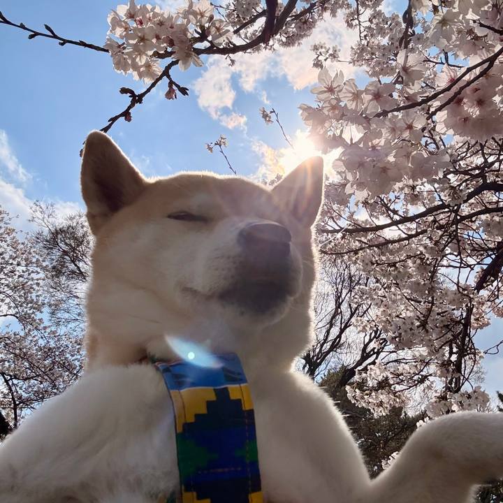 3f67d459 2d1b 4e99 b1ac a8772ca6b761 1774665948572