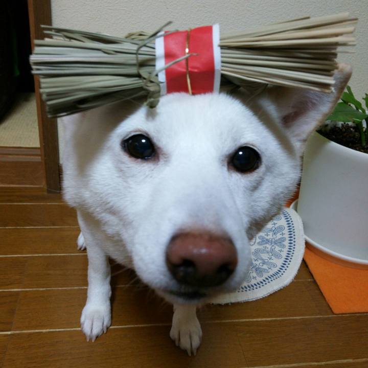 3f67ddb5 1dd8 466e b4e3 8f911685dbcc 1547178786446