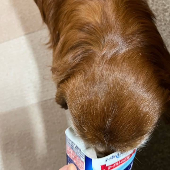 3f682e41 29ef 4b75 a1a2 16b9af8cab33 1738364099306