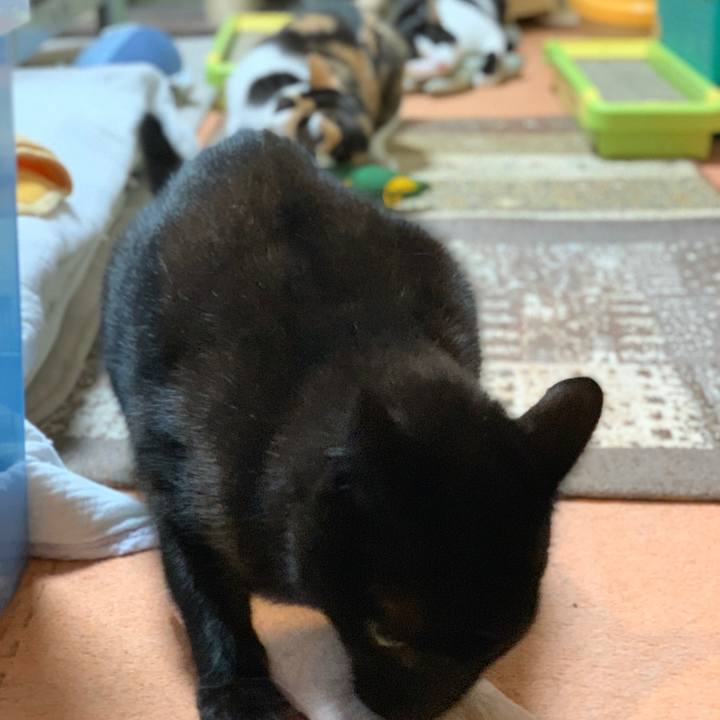 3f688358 020d 424f 8e50 9741e345960b 1604194393920