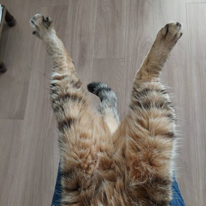 3f692154 0f30 406b aed2 ea7e1d983cf6 1729555786811