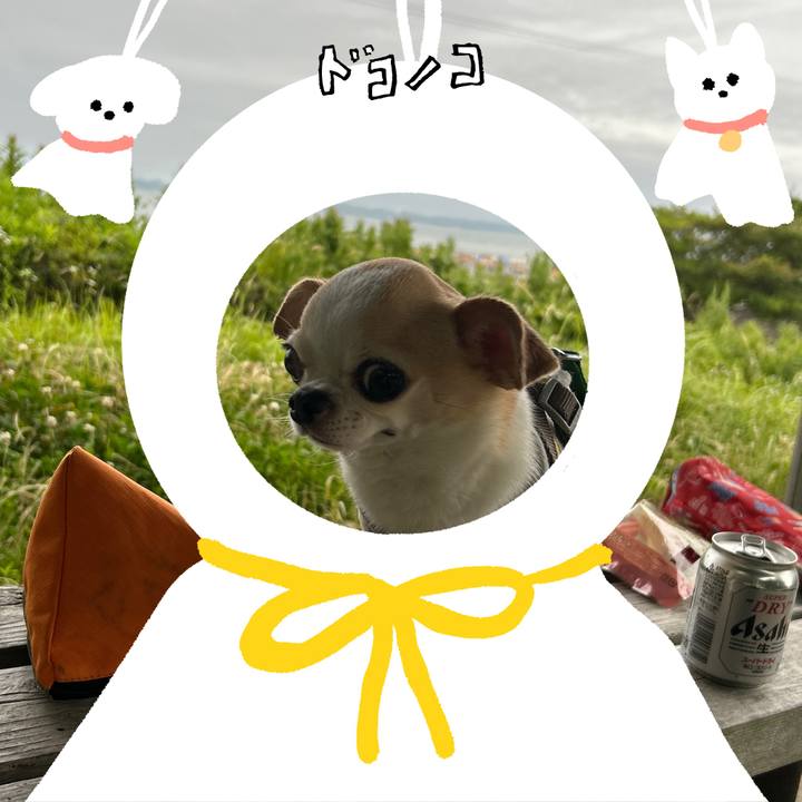 3f69254a d7bd 4dd7 92b9 a50c46ac4f0f 1781688243247