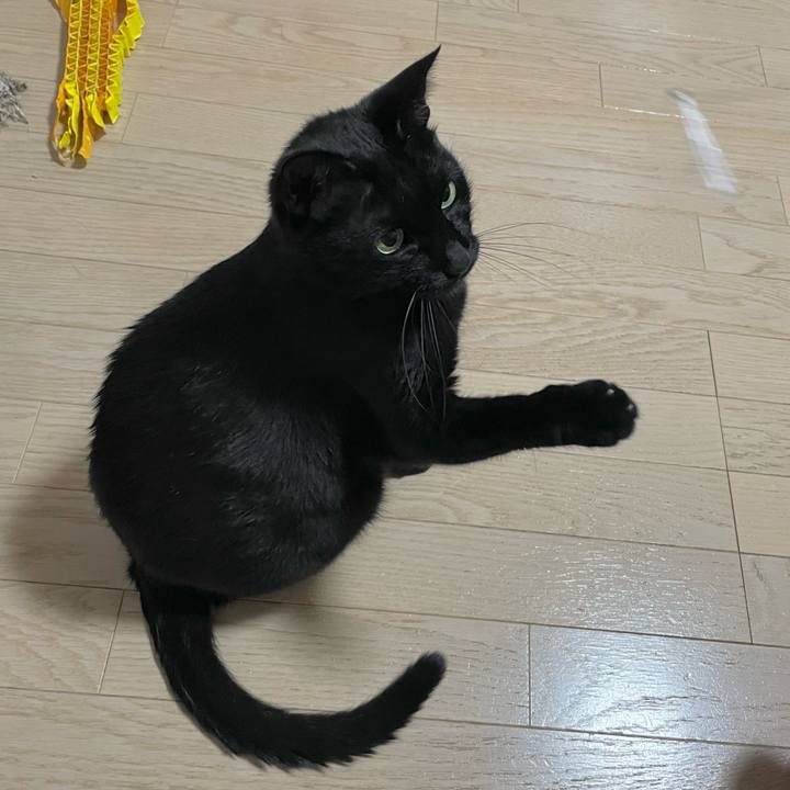 3f694c9f 0523 4bc3 815b 4cd130f8e728 1721656087503